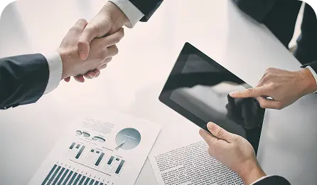 finance management for software services firms