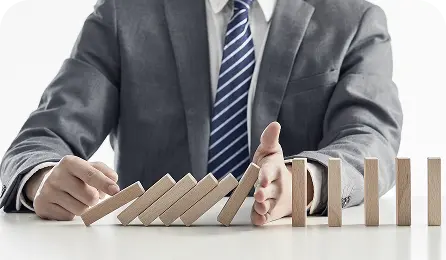 project delivery for software services firms