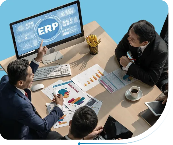 finance management software for software services firms